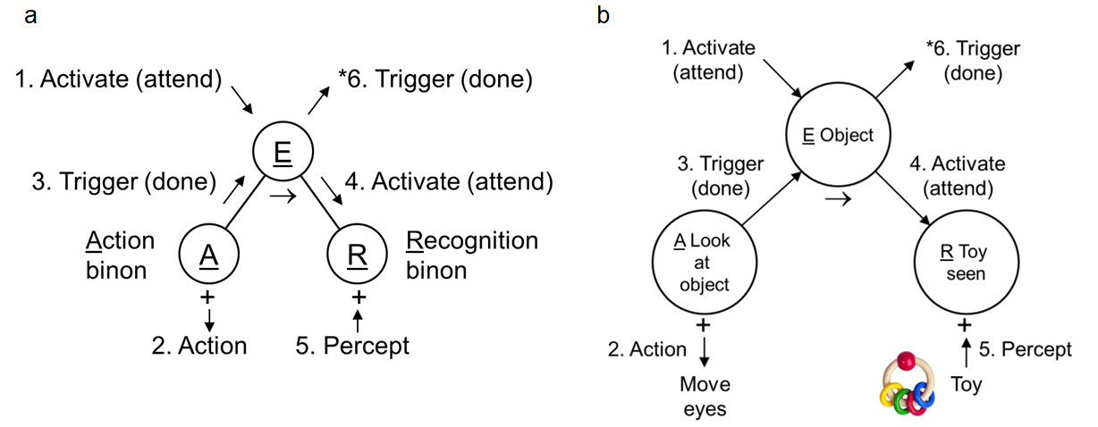 Figure 7 a&b